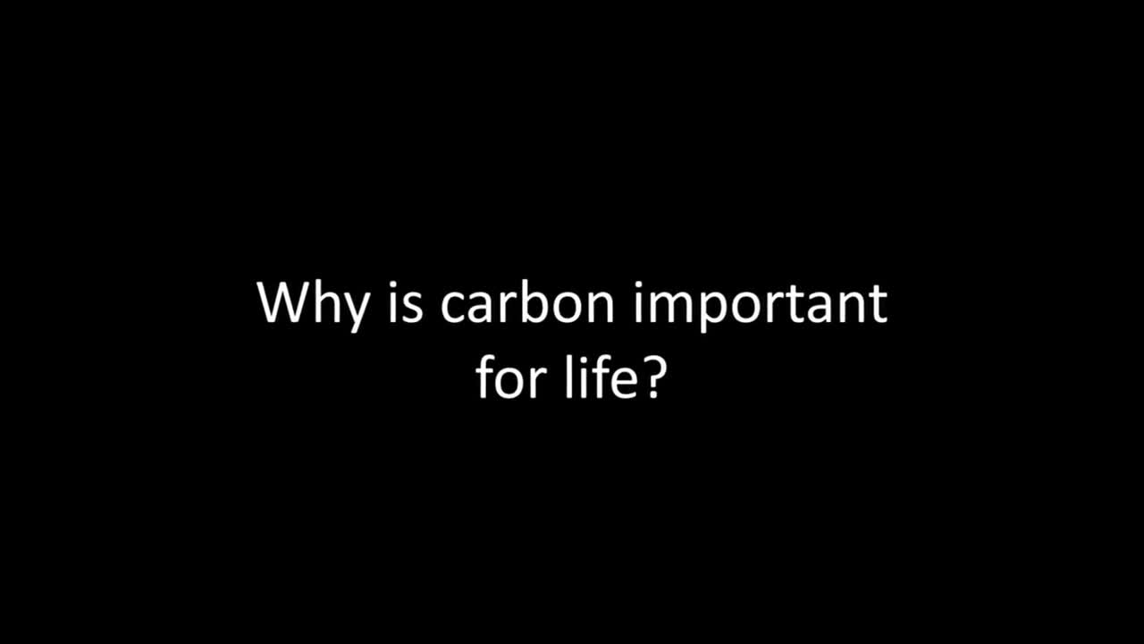 SBI4U U1 L02-4 - Why is carbon the element of life