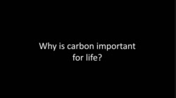 SBI4U U1 L02-4 - Why is carbon the element of life